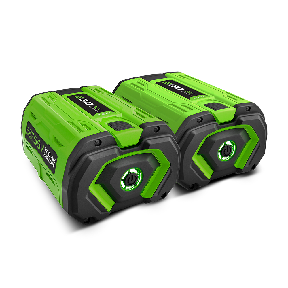 EGO POWER+ 12.0Ah Battery (2-Pack)
