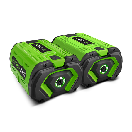EGO POWER+ 12.0Ah Battery (2-Pack)